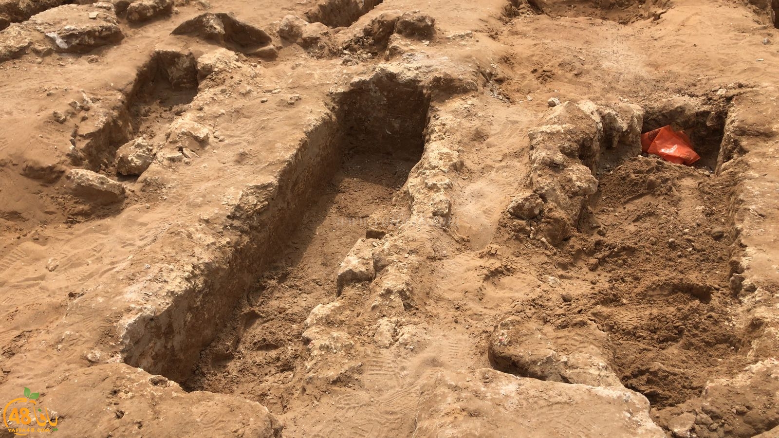 WhatsApp Image 2020-06-17 at 9.30.50 AM (2).jpeg.jpg.jpg